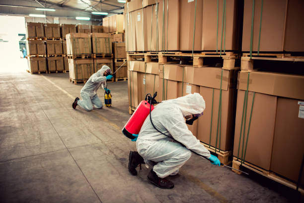 Wasp Removal Services in Lake Shastina, CA