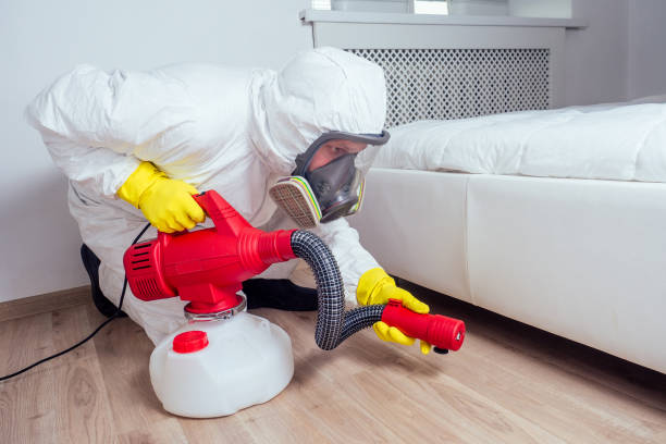 Best Local Pest Control Services  in Lake Shastina, CA