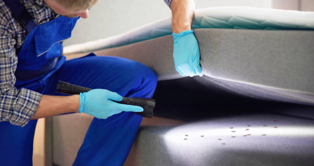 Best Pest Control Near Me  in Lake Shastina, CA