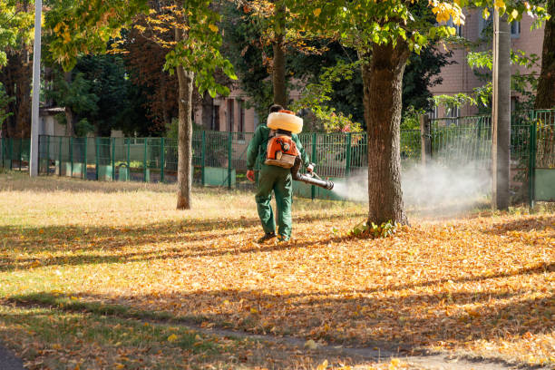 Best Pest Inspection Near Me  in Lake Shastina, CA
